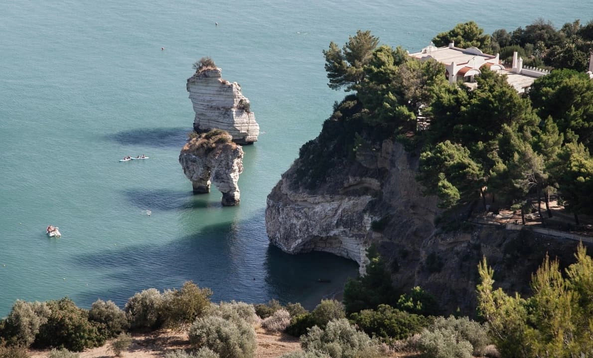Wild coastline with cliffs, pine forest, and a hidden cove in Gargano